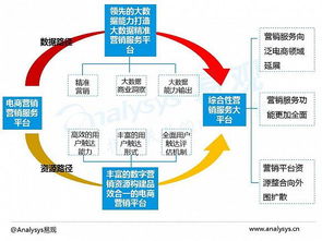 2016中國電商數(shù)字營銷市場(chǎng)專題報(bào)告 數(shù)字技術(shù)服務(wù)的崛起與變革