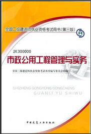 《全國二級建造師執業資格考試用書（第3版）市政公用工程管理與實務》核心內容解析 施工組織與工程管理服務